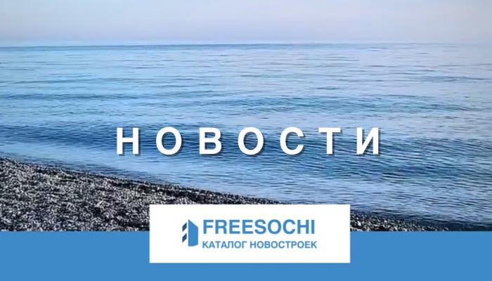 Евгений Проскурин: «Люди хотят обманываться — так сильно желание жить в Сочи»
